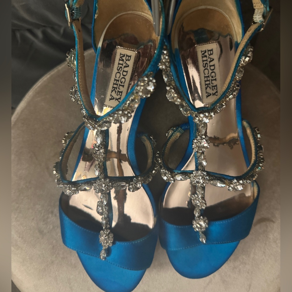 Something Borrowed And Something Bluebadgley Misc… - image 3